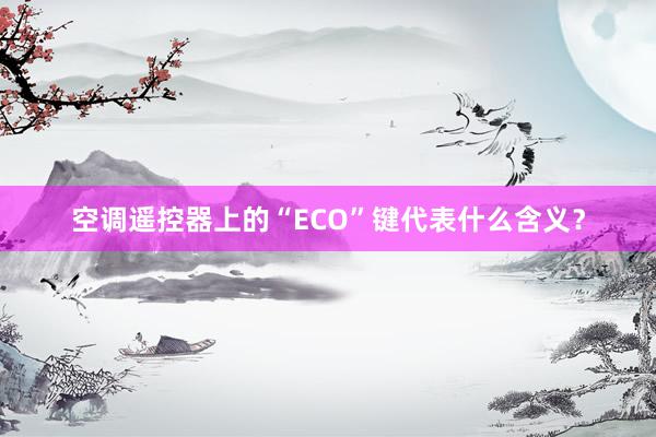 空调遥控器上的“ECO”键代表什么含义？